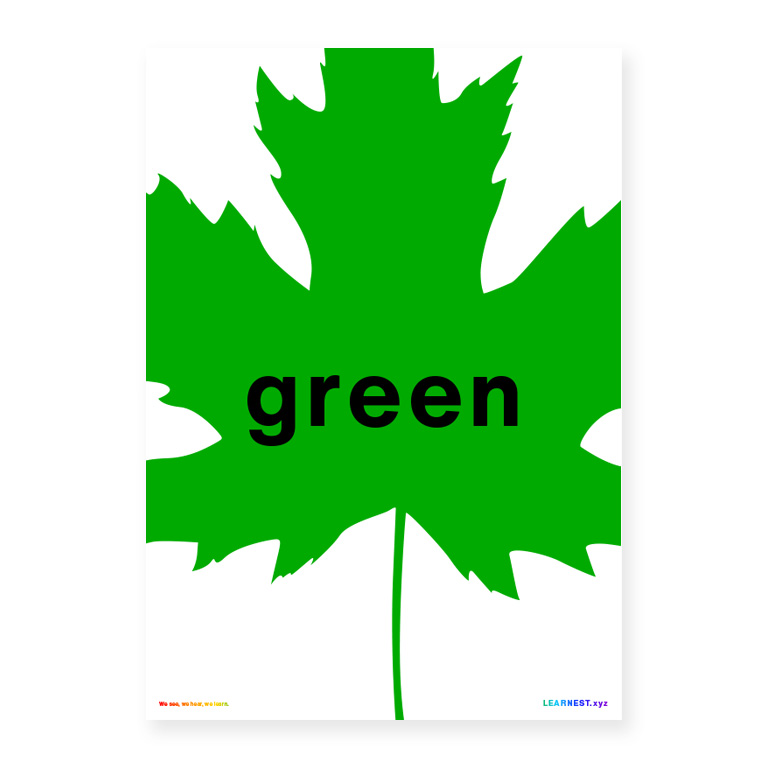 Pre-School Colourfulness – Green