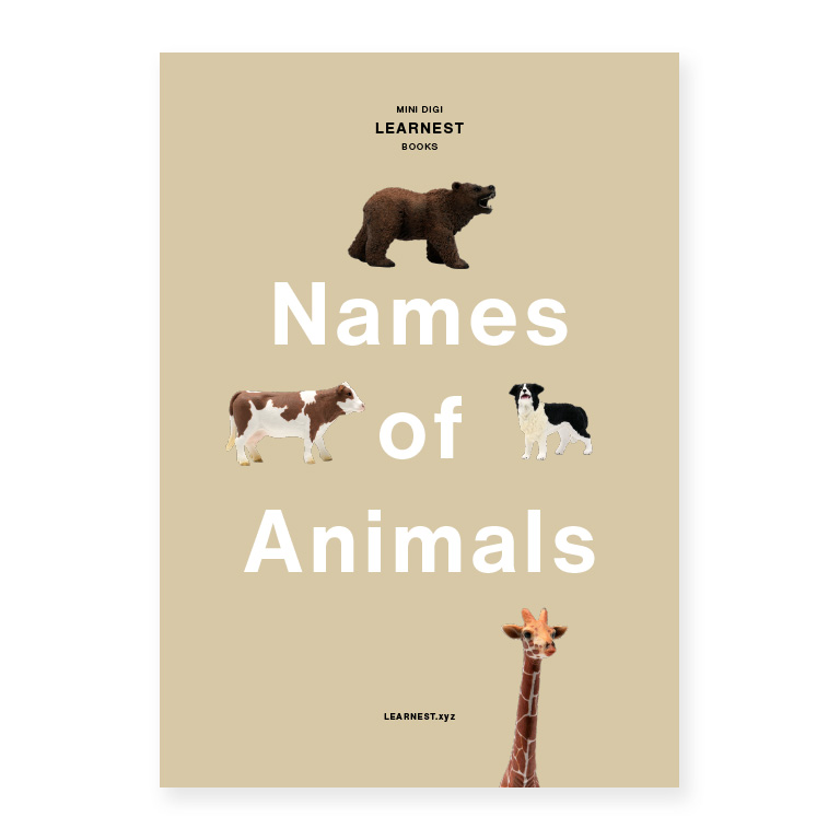 Pre-School – Names of Animals by LEARNEST.xyz