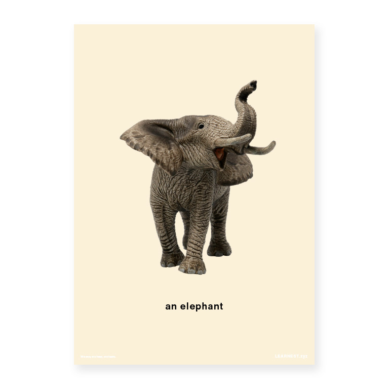 Pre-School Names of Animals – An elephant