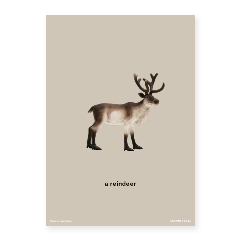 Pre-School Names of Animals – A reindeer