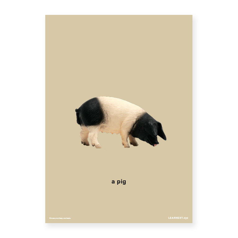 Pre-School Names of Animals – A pig