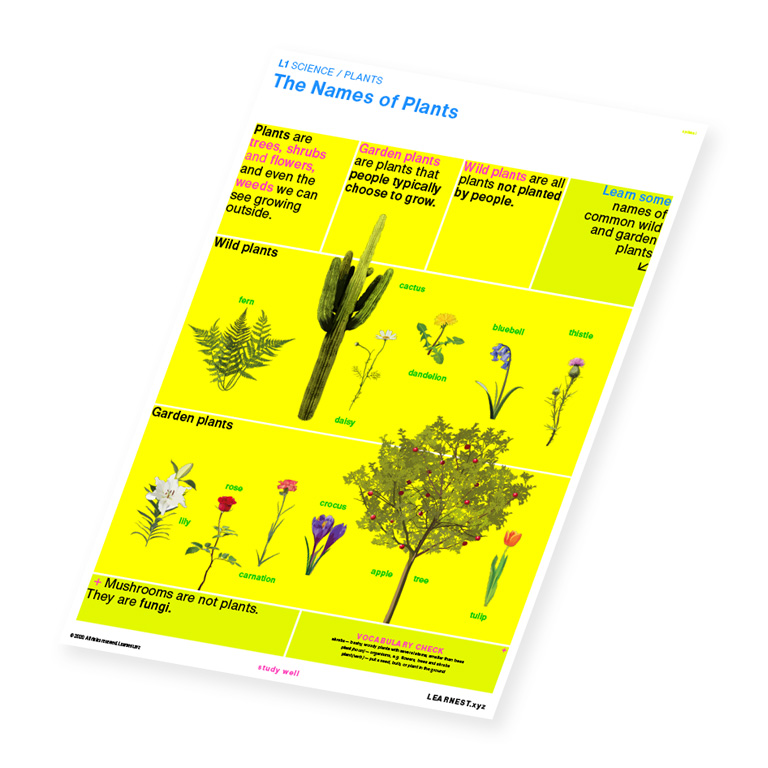 L1 Science Plants – The Names of Plants by Learnest.xyz
