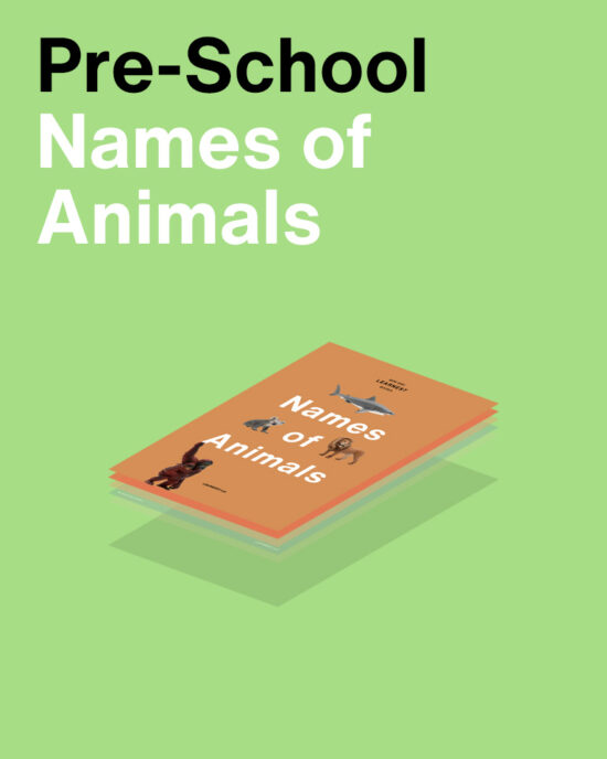 Pre-School Names of Animals by Learnest