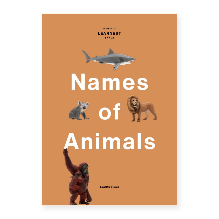 Pre-School – Names of Animals by LEARNEST.xyz