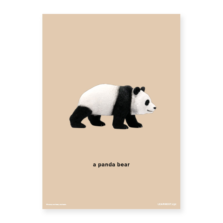 Pre-School Names of Animals – Panda