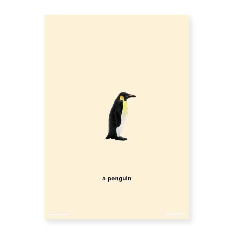 Pre-School Names of Animals – A penguin