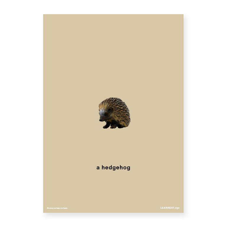 Pre-School Names of Animals – A hedgehog