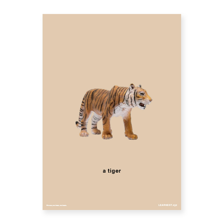 Pre-School Names of Animals – A tiger
