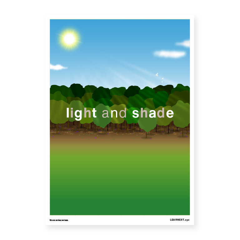 Pre-School Seeing Outdoors – light and shade