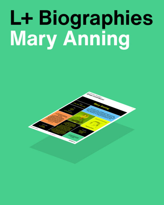 L+ Biographies Mary Annning
